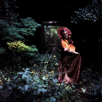 Photography titled "The Dance of the Ge…" by Kiritin Beyer, Original Artwork, Analog photography