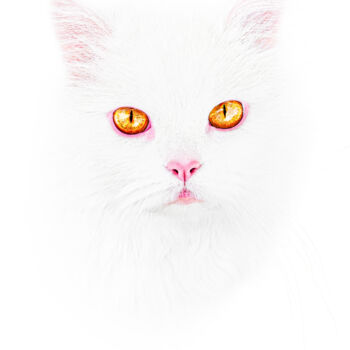 Fotografia intitolato "Portrait Of A White…" da Michael Lomiya, Opera d'arte originale, Fotografia manipolata