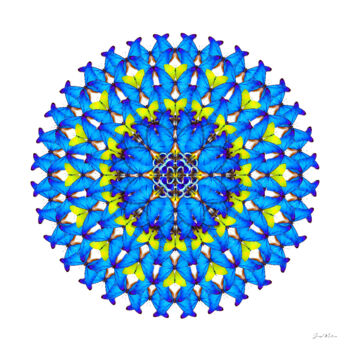 Photographie intitulée "Cali II" par Jérôme Marteau, Œuvre d'art originale, Photographie numérique Monté sur Aluminium