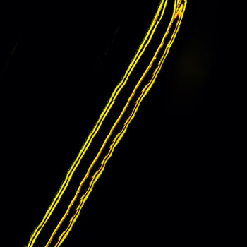 Digital Arts titled "No5." by Francesco, Original Artwork, Digital Photography