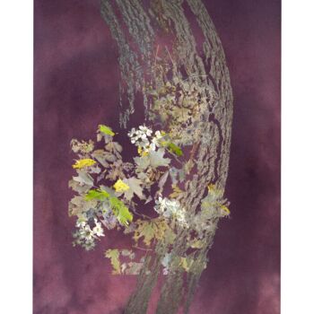Photography titled "Feuilles 25" by Claude Huré, Original Artwork, Manipulated Photography