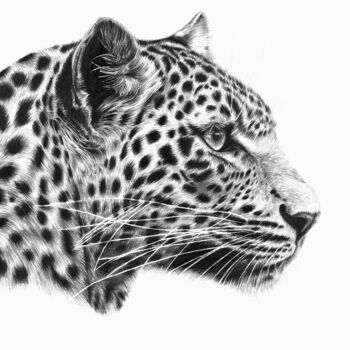 Dessin intitulée "Léo" par Christelle Rossi Ligouzat (Chris Rossi), Œuvre d'art originale, Crayon