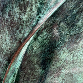 제목이 "It's A Thin Line Be…"인 사진 Martin Vallis로, 원작, 디지털