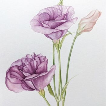 Painting titled "Eustoma flower" by Elisa Aleksenko, Original Artwork, Watercolor