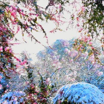 Φωτογραφία με τίτλο "Neige rose. Pinku y…" από Alexandra Daoust, Αυθεντικά έργα τέχνης, Ψηφιακή φωτογραφία