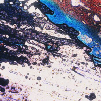 Arte digital titulada "Micro-Cosmos I" por Gustavo Castillo, Obra de arte original, Fotografía digital