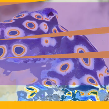 Digital Arts titled "Octopus attentif av…" by Pascal Maupas, Original Artwork, Photo Montage