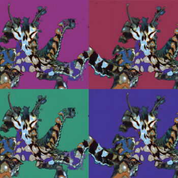 Digital Arts titled "Happy Octopus, vari…" by Pascal Maupas, Original Artwork, Photo Montage