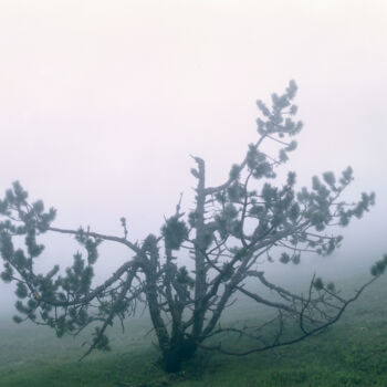 Photography titled "Transzendente Ästhe…" by Martin Ecker, Original Artwork, Analog photography