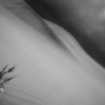 Photographie intitulée "Barren Lands" par Jade Holing, Œuvre d'art originale, Photographie numérique
