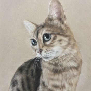 Drawing titled "Bengal cat" by Irene_art, Original Artwork, Pastel