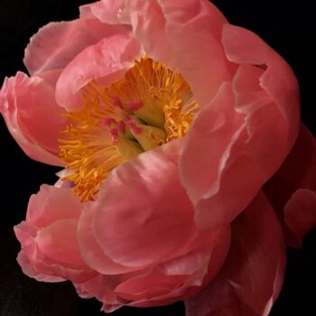 Photography titled "Pavel ZHMUTIN PH12" by Pavel Zhmutin, Original Artwork, Digital Photography