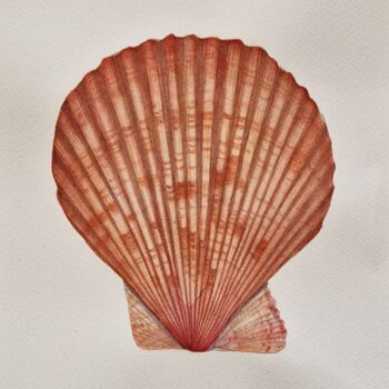 제목이 "Shell Mimachlamys g…"인 미술작품 Olena Zhylenko로, 원작, 수채화