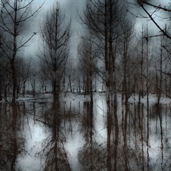 Photographie intitulée "Lagune Bleue à l'em…" par Dominique Cahier, Œuvre d'art originale, Photographie numérique