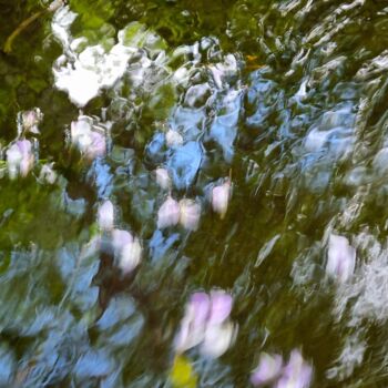 摄影 标题为“Flou artistique 1” 由Sylvie Chapuis, 原创艺术品, 数码摄影