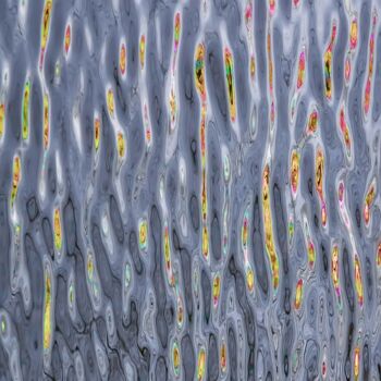 Digital Arts με τίτλο "Ripples III" από Sjaak Tool, Αυθεντικά έργα τέχνης, 2D ψηφιακή εργασία Τοποθετήθηκε στο Αλουμίνιο