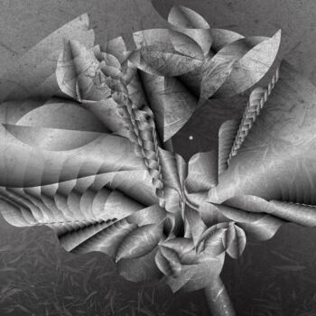 Digital Arts titled "Silver Threads - 24…" by Rosemary Collard, Original Artwork, 2D Digital Work