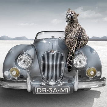 摄影 标题为“Dream Dream Dream (…” 由Cheraine Collette, 原创艺术品, 数字油画 安装在其他刚性面板上