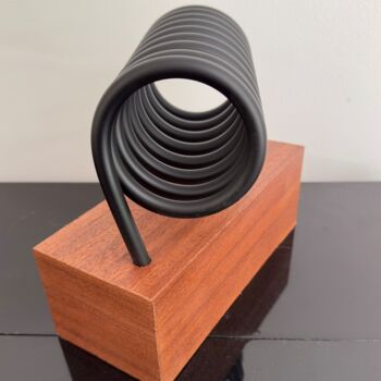 Sculpture intitulée "Immobilisation" par Jean-Marc Gardeux, Œuvre d'art originale, Acier inoxydable