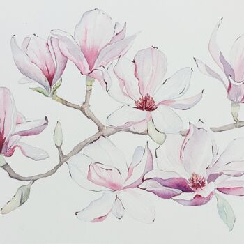 Картина под названием "Magnolias" - Elena Kazachkina, Подлинное произведение искусства, Акварель