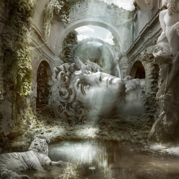 Tigers Tranquillity (Frame incl.) - Edition of 5