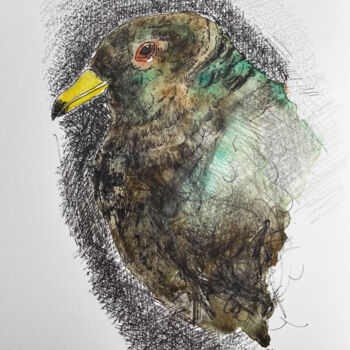 제목이 "Rescued Band Tailed…"인 미술작품 Elodie M. Richard로, 원작, 수채화