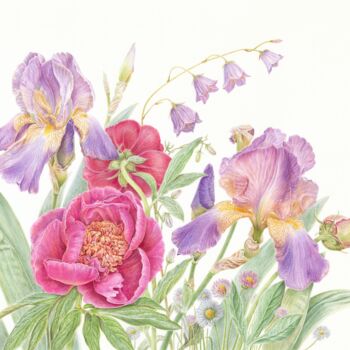 Painting titled "Peonies and Irises,…" by Olga Akimtseva, Original Artwork, Watercolor