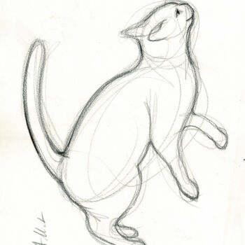 Dessin intitulée "Chat dressé - A-0004" par Alliet-Delacroix, Œuvre d'art originale, Crayon