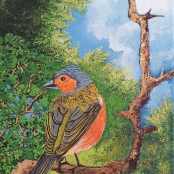 Pinson des arbres mâle