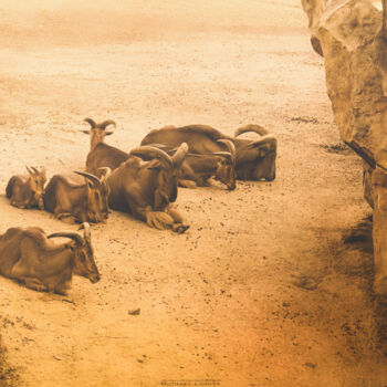 Fotografía titulada "Sandy Mountain Peace" por Michael Lomiya, Obra de arte original, Fotografía manipulada