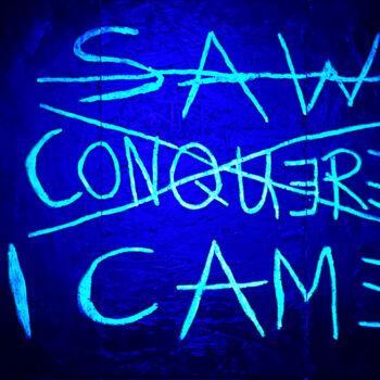 제목이 "I SAW, I CONQUERED,…"인 미술작품 Frank Willems로, 원작, 아크릴