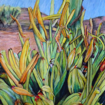 绘画 标题为“Agavenblüte 2” 由Gabriele Kübler-Mohr, 原创艺术品, 粉彩