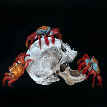 Printmaking titled "Grapsus grapsus - L…" by Sailev, Original Artwork, Digital Print