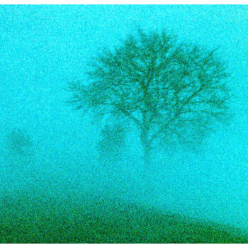 Photography titled "Nebelallee" by Gerhard Benz, Original Artwork, Analog photography