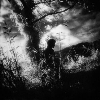 「Echo of Nature」というタイトルのデジタルアーツ View From The Graveによって, オリジナルのアートワーク, 操作する
