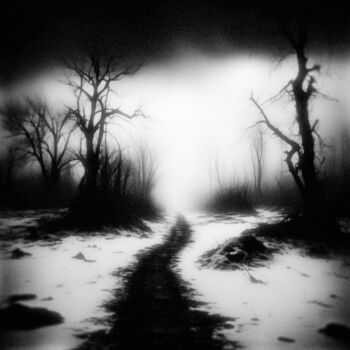 「Frozen Echoes Path」というタイトルのデジタルアーツ View From The Graveによって, オリジナルのアートワーク, 写真モンタージュ