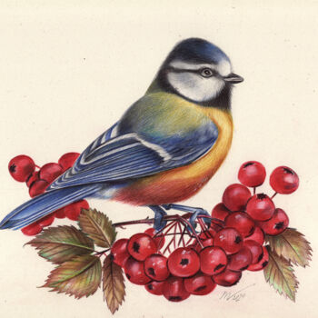 Drawing titled "Eurasian Blue Tit" by Daria Maier, Original Artwork, Ballpoint pen