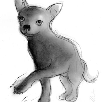 제목이 "Chihuahua-D-P-A 0008"인 그림 Alliet-Delacroix로, 원작, 잉크