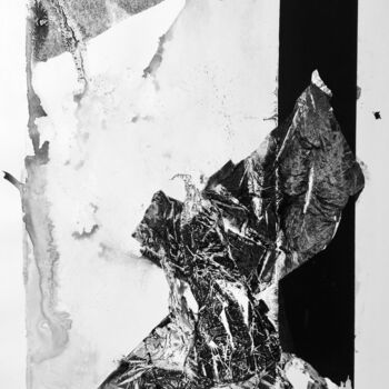 Printmaking titled "Metamorphosis 5" by Andrii Kovalenko, Original Artwork, Screenprinting
