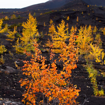 Photography titled "Fire and ash" by Nadia Sharova, Original Artwork, Digital Photography