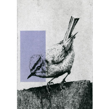 Printmaking titled "The Firecrest - Gra…" by Clement Scarpi, Original Artwork, Engraving