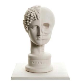 Rzeźba zatytułowany „Hermes & Skull Desi…” autorstwa Dervis Yusuf Akdemir, Oryginalna praca, Żywica
