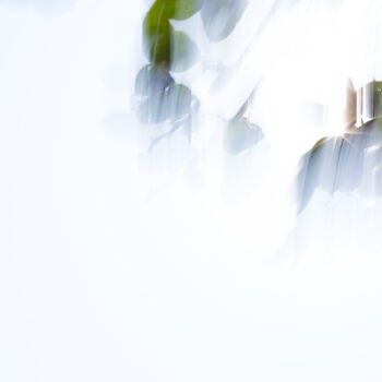 Fotografie mit dem Titel "WHITE MOUVEMENT-A7-…" von Michel Akrich, Original-Kunstwerk, Digitale Fotografie