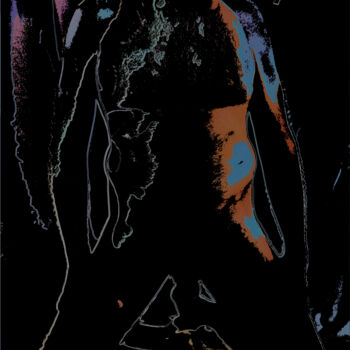 Digital Arts με τίτλο "broken wings" από Friedrich Ursprung, Αυθεντικά έργα τέχνης, Φωτογραφία Μοντάζ