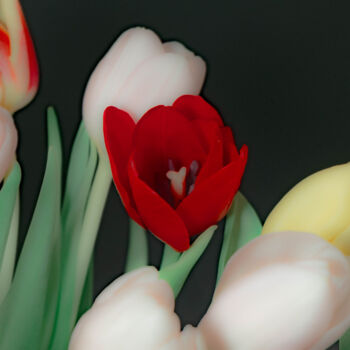 Photographie intitulée "Tulips #04" par Michael Banifatov, Œuvre d'art originale, Photographie numérique