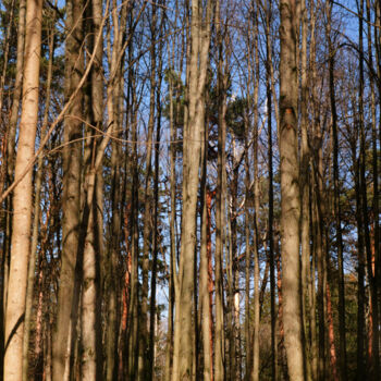 "Cut aquamarine" başlıklı Fotoğraf Ekaterina Kastalskaya tarafından, Orijinal sanat, Analog Fotoğrafçılık