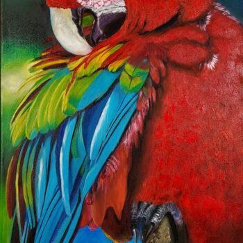 Painting titled "Exotic Ara Parrot" by Sylvia Eder, Original Artwork, Oil