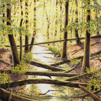 Zeichnungen mit dem Titel "Der alte Kanal (#2)" von Ronald Firla, Original-Kunstwerk, Conté-Buntstifte