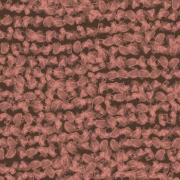 Artes digitais intitulada "Warm Chocolate Brow…" por Vafa Majidli, Obras de arte originais, Pintura digital