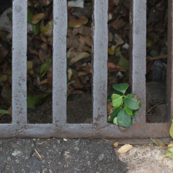 Fotografia intitulada "Street drainage 149" por Evargas, Obras de arte originais, Fotografia digital